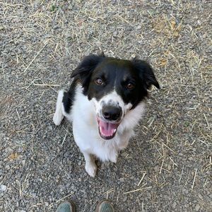 Meet your Posher, Kellyn